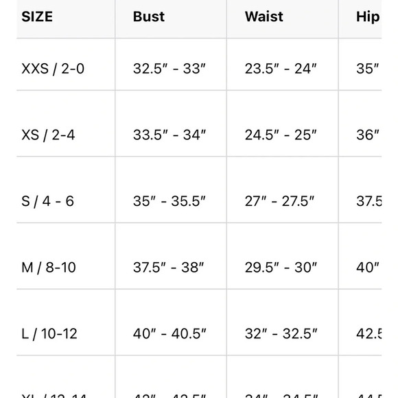 Dress The Population Nicole Velvet Lace Dress - Picture 16 of 16